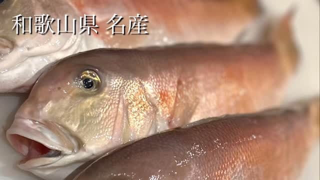 白甘鯛 | 泉佐野市上町 フレンチビストロ ｜and A